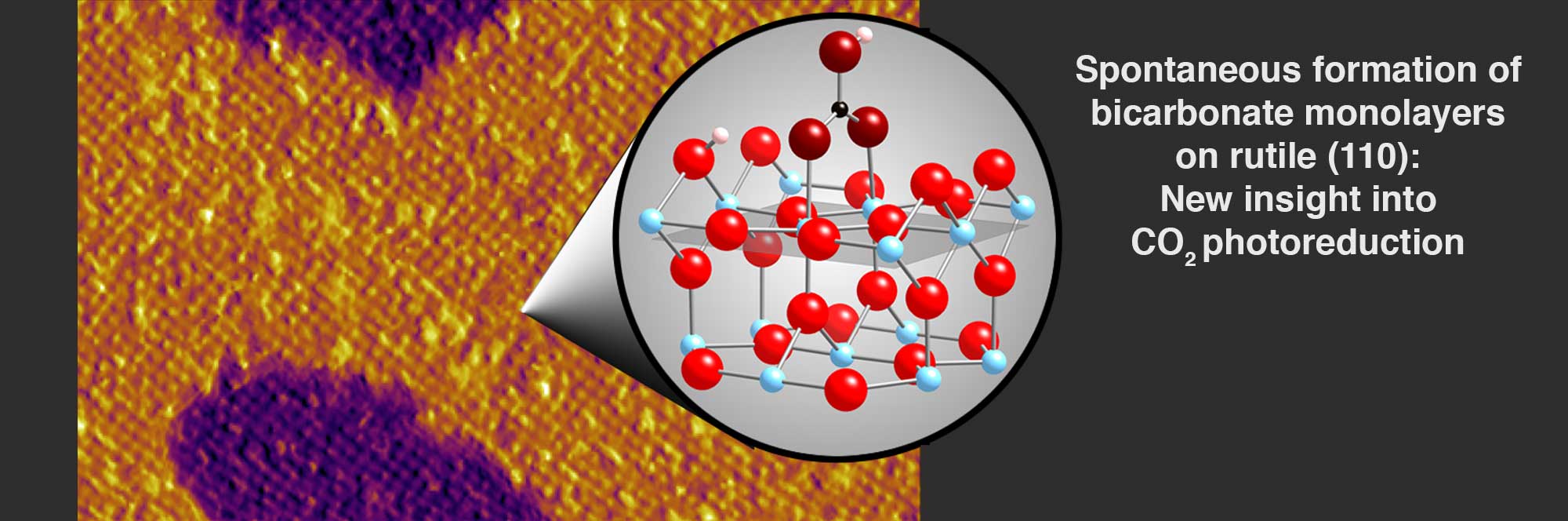 Spontaneous Formation of Monolayer